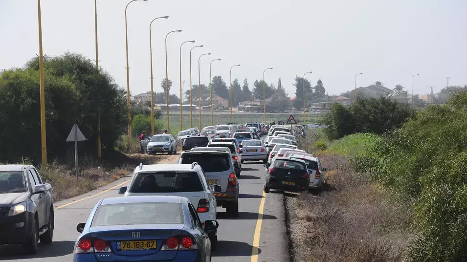 מטיילים שהגיעו לחזות בפריחת הכלניות בנגב המערבי, 9 בפברואר 2013 מטיילים שהגיעו לחזות בפריחת הכלניות בנגב המערבי, 9 בפברואר 2013