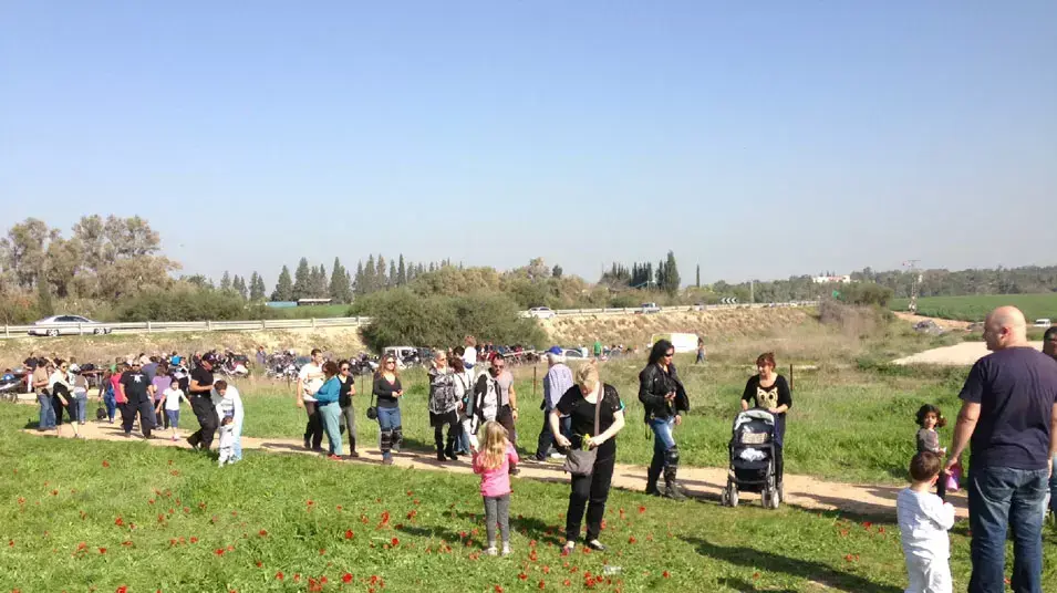 מטיילים בשדה כלניות בנגב מטיילים בשדה כלניות בנגב