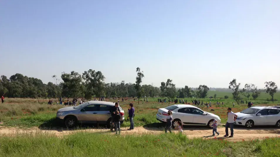 מטיילים בשדה כלניות בנגב מטיילים בשדה כלניות בנגב