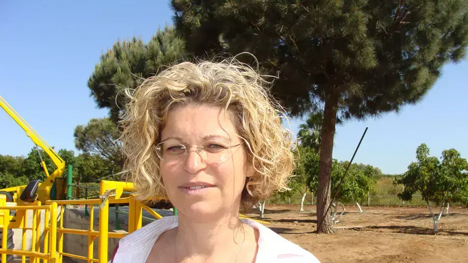 דורית ענבר דורית ענבר