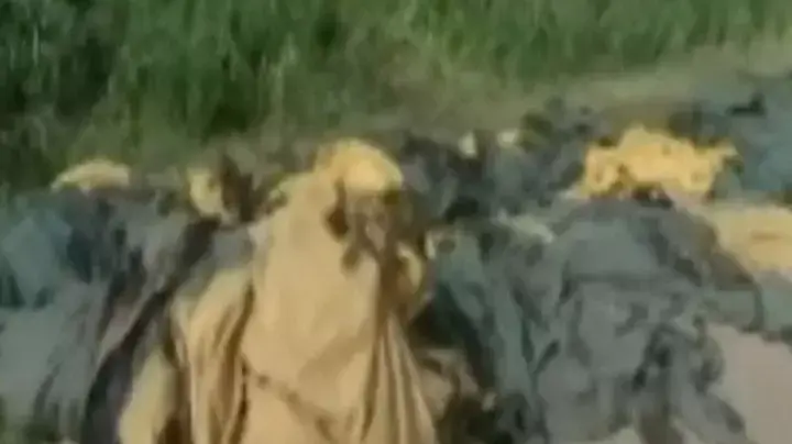 19 תיירים נהרגו בהתרסקות כדור פורח