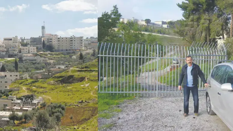 כתבת ישראל היום לסופ"ש. כתבת ישראל היום לסופ"ש.