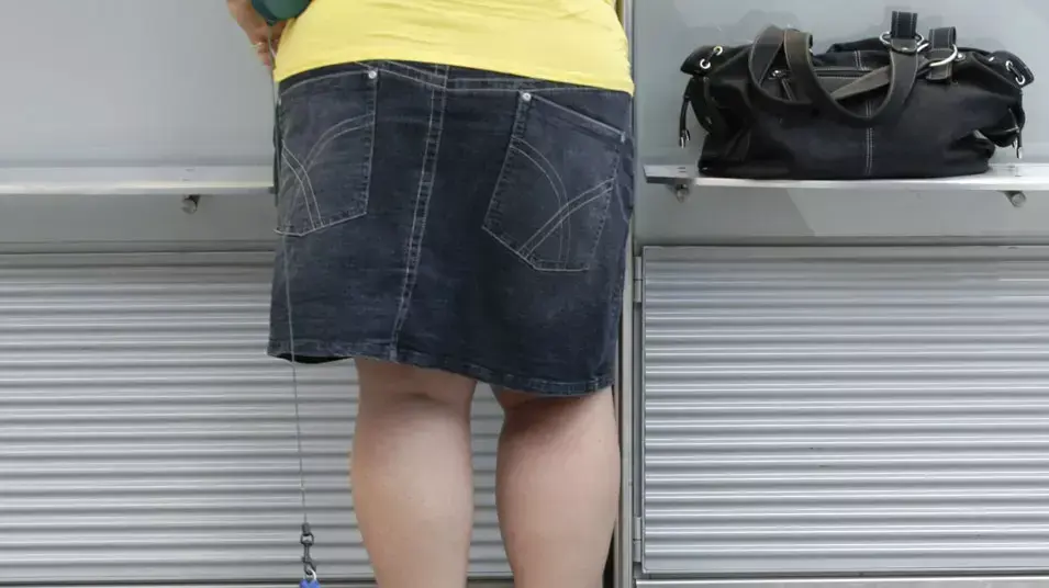 כלב בנמל תעופה כלב בנמל תעופה