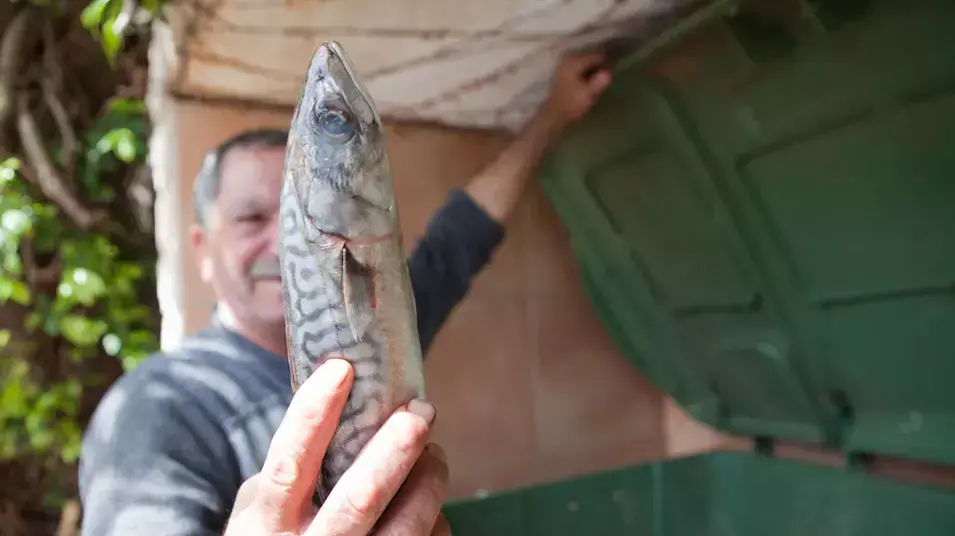 דגים מתים פוזרו במזרקה בגן הרצל בחולון והמים נצבעו אדום. מרץ 2013 דגים מתים פוזרו במזרקה בגן הרצל בחולון והמים נצבעו אדום. מרץ 2013