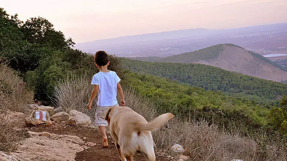 תחרות צילום טבע עירוני
