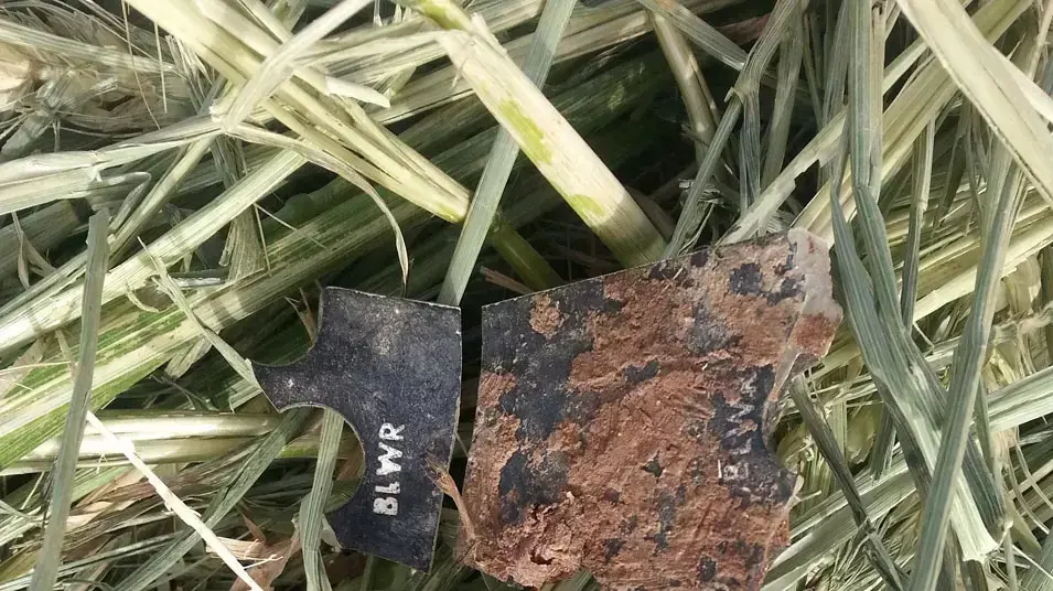 שרידים מאזור התרסקות מסוק הקוברה ליד קיבוץ רבדים