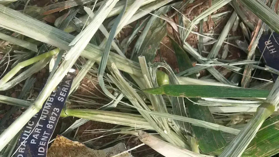שרידים מאזור התרסקות מסוק הקוברה ליד קיבוץ רבדים שרידים מאזור התרסקות מסוק הקוברה ליד קיבוץ רבדים