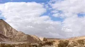נחל צין ארץ בראשית - החברה להגנת הטבע