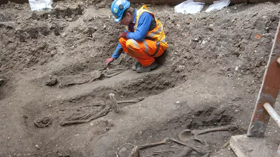 שלדים מתקופת המגפה השחורה שהתגלו בקבר אחים בלונדון. מרץ 2013 שלדים מתקופת המגפה השחורה שהתגלו בקבר אחים בלונדון. מרץ 2013