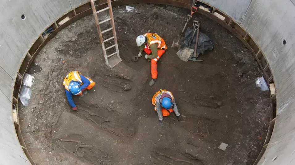 שלדים מתקופת המגפה השחורה שהתגלו בקבר אחים בלונדון. מרץ 2013 שלדים מתקופת המגפה השחורה שהתגלו בקבר אחים בלונדון. מרץ 2013
