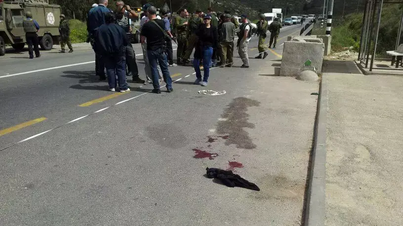 פיגוע ירי ליד קדומים, מרץ 2013 פיגוע ירי ליד קדומים, מרץ 2013