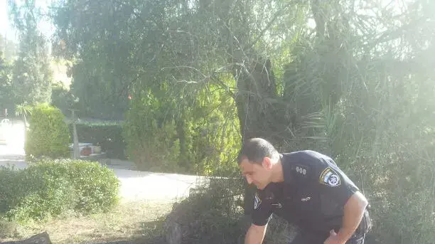 רקטה נפלה הבוקר בשדרות בשטח פתוח, מרץ 2013 רקטה נפלה הבוקר בשדרות בשטח פתוח, מרץ 2013
