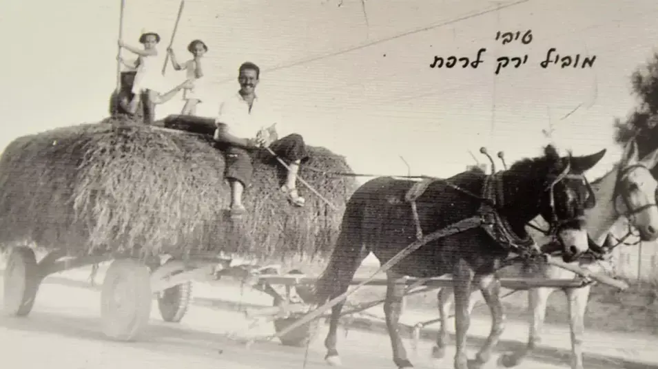 טיבי רם מקיבוץ אפיקים, אפריל 2014 טיבי רם מקיבוץ אפיקים, אפריל 2014