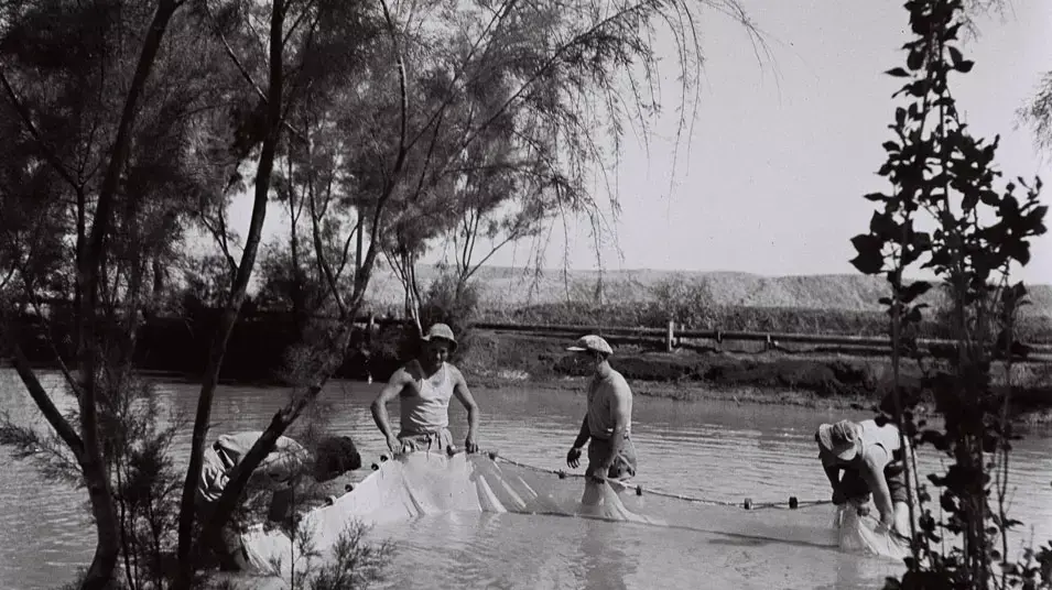 תמונות ארכיון- בית הערבה תמונות ארכיון- בית הערבה