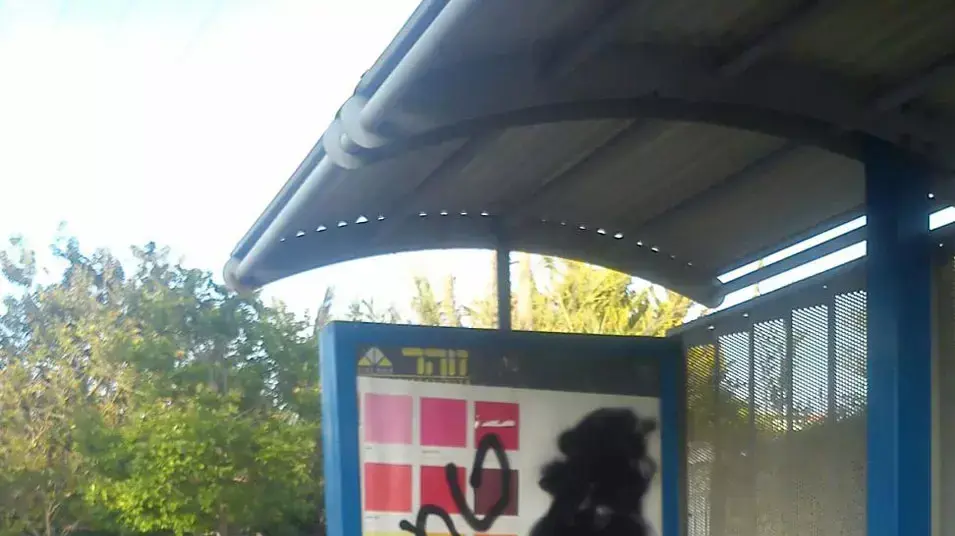 תמונות של בר רפאלי רוססו באשקלון, אפריל 2013 תמונות של בר רפאלי רוססו באשקלון, אפריל 2013