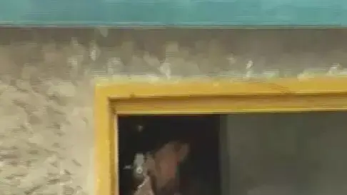 תמונות נדירות מצפון קוריאה תמונות נדירות מצפון קוריאה