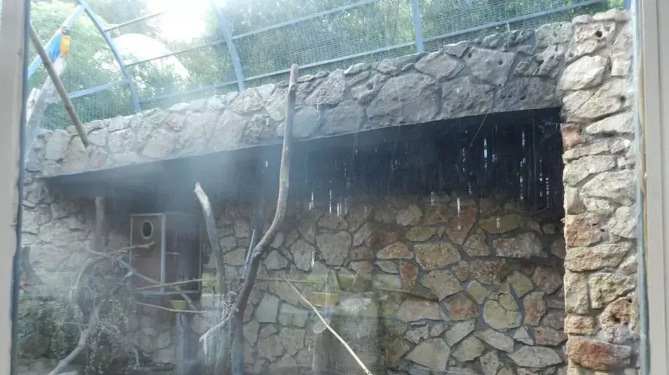 שריפה בגן החיות בחיפה , אפריל 2013 שריפה בגן החיות בחיפה , אפריל 2013