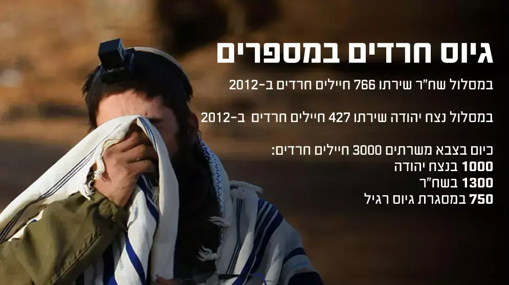 אינפוגרפיקה אינפוגרפיקה