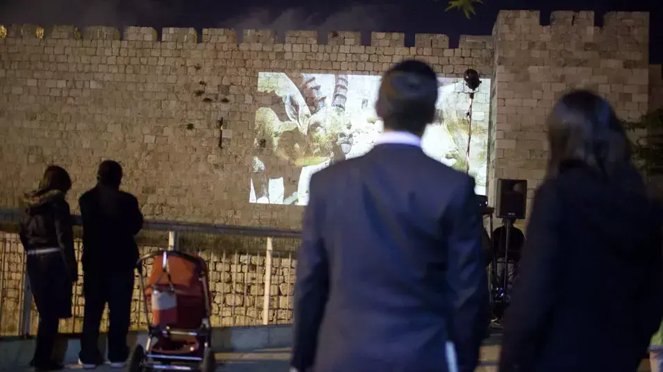יום כדור הארץ בירושלים, 22 באפריל 2013 יום כדור הארץ בירושלים, 22 באפריל 2013