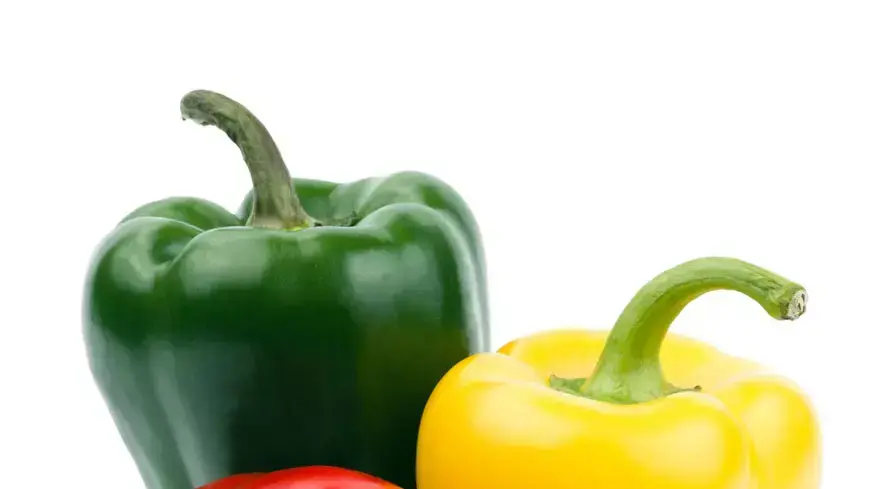 פלפלים פלפלים