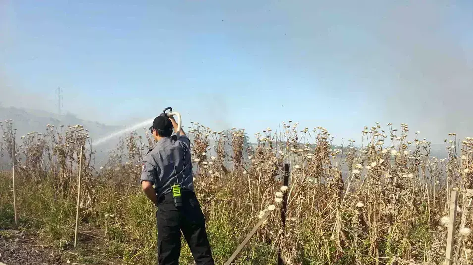 שריפה במושב אלמגור בצפון הכינרת, 27 אפריל 2013 שריפה במושב אלמגור בצפון הכינרת, 27 אפריל 2013