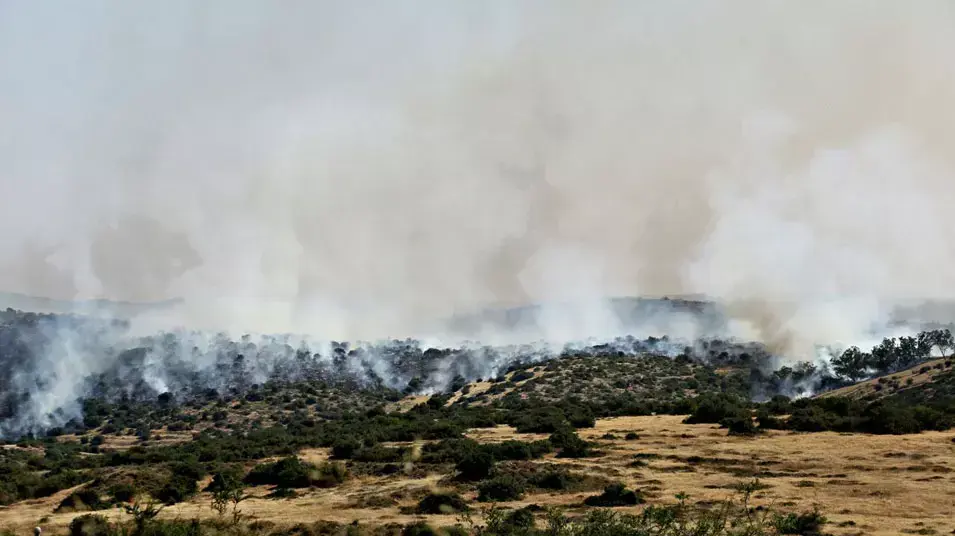 שריפה בבית גוברין. אפריל 2013 שריפה בבית גוברין. אפריל 2013