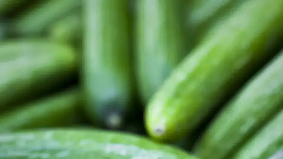 מלפפונים מלפפונים