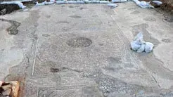 פסיפס צבעוני מרהיב בן כ-1500 שנה נחשף בשדות קיבוץ בית קמה בדרום