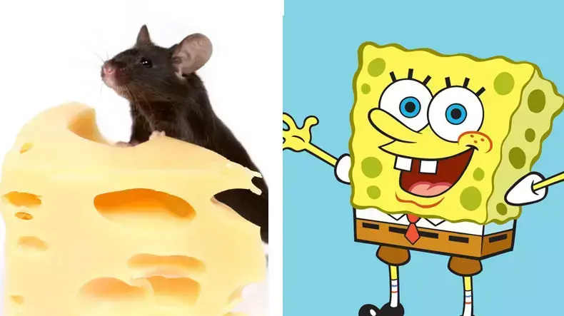 אילוסטרציה אילוסטרציה
