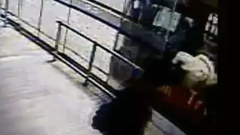 גבר שדד ארנק מאישה בקולומביה ונדרס בידי אוטובוס, מאי 2013