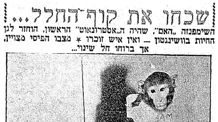 גורלו העגום של השימפנזה האם, ה"קופונאוט" הראשון בחלל. מעריב, ספטמבר 1965, באדיבות הספרייה הלאומית גורלו העגום של השימפנזה האם, ה"קופונאוט" הראשון בחלל. מעריב, ספטמבר 1965, באדיבות הספרייה הלאומית