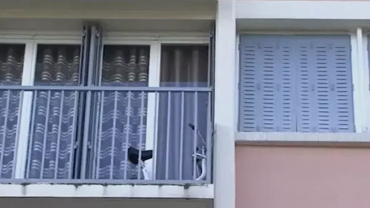 בריטי חשוד ששיסף את גרונם של שני ילדיו