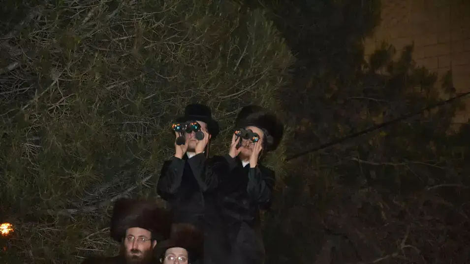 חתונה של נכדו של האדמו"ר חסידות בעלז בירושלים, 21 מאי 2013 חתונה של נכדו של האדמו"ר חסידות בעלז בירושלים, 21 מאי 2013