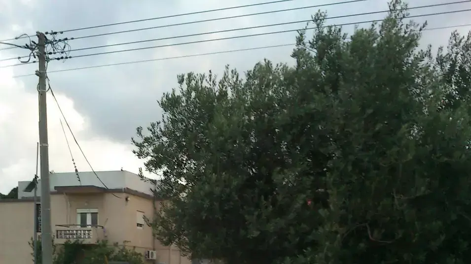 רועי אוחנה החשוד ברצח אמו ובדקירה של שלושה נוספים בקריית אתא משחזר את הרצח, מאי 2013 רועי אוחנה החשוד ברצח אמו ובדקירה של שלושה נוספים בקריית אתא משחזר את הרצח, מאי 2013