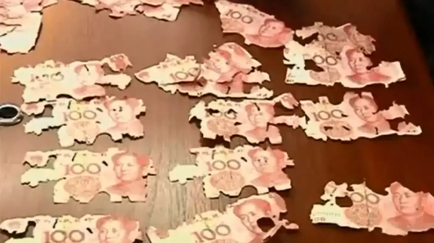 שטרות סיניים שנאכלו על ידי טרמיטים שטרות סיניים שנאכלו על ידי טרמיטים