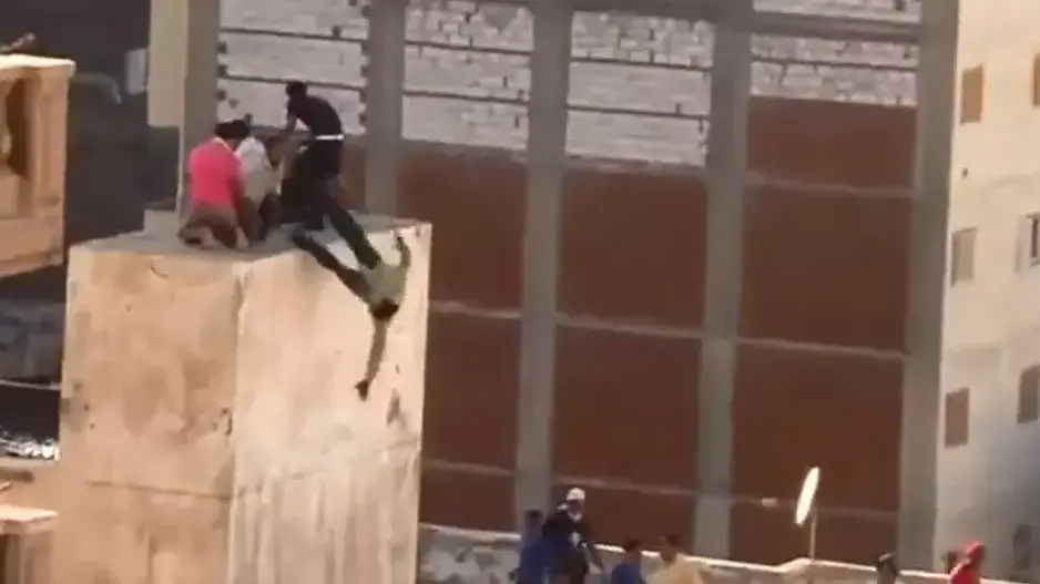 איסלאמיסטים הפילו נערים מגג בניין באלכסנדריה במצרים