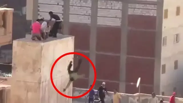 "איסלמסטים דחפו מגג נערים אל מותם"