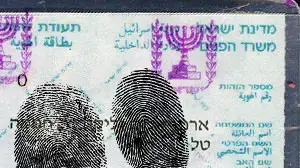 אילוסטרציה