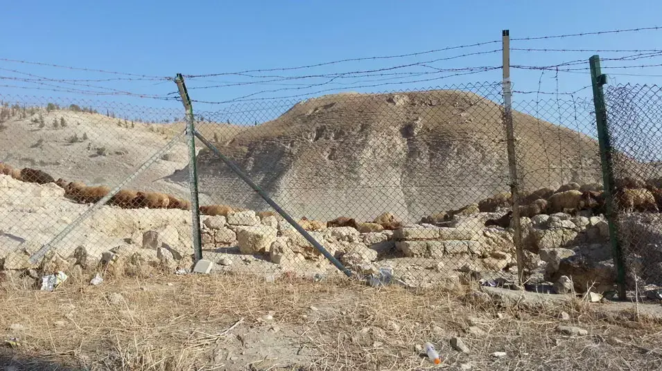 רועה צאן על גבול סוריה- ירדן רועה צאן על גבול סוריה- ירדן