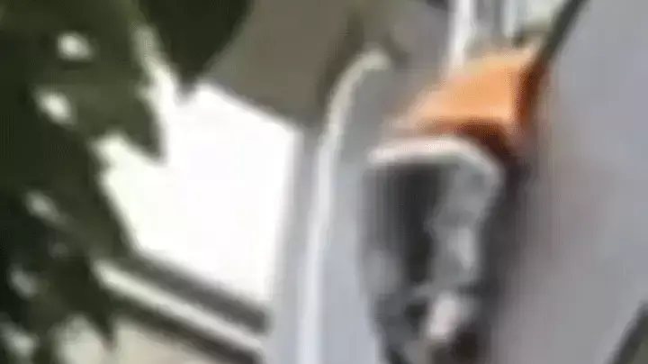 ילד סיני תלוי באוויר עם הראש בסורגים