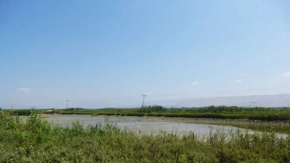 שלושה צעירים התחשמלו למוות בבריכת דגים באיילת השחר. יולי 2013 שלושה צעירים התחשמלו למוות בבריכת דגים באיילת השחר. יולי 2013