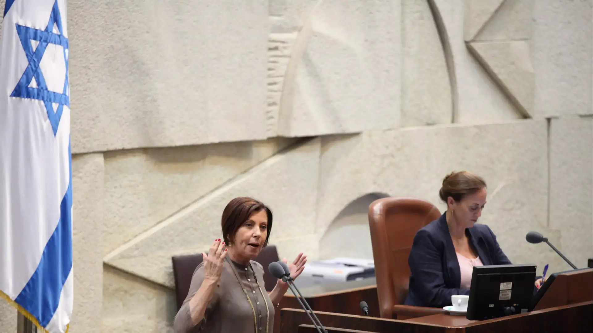 זהבה גלאון ורות קלדרון בהצבעה על חוק המשילות במליאת הכנסת