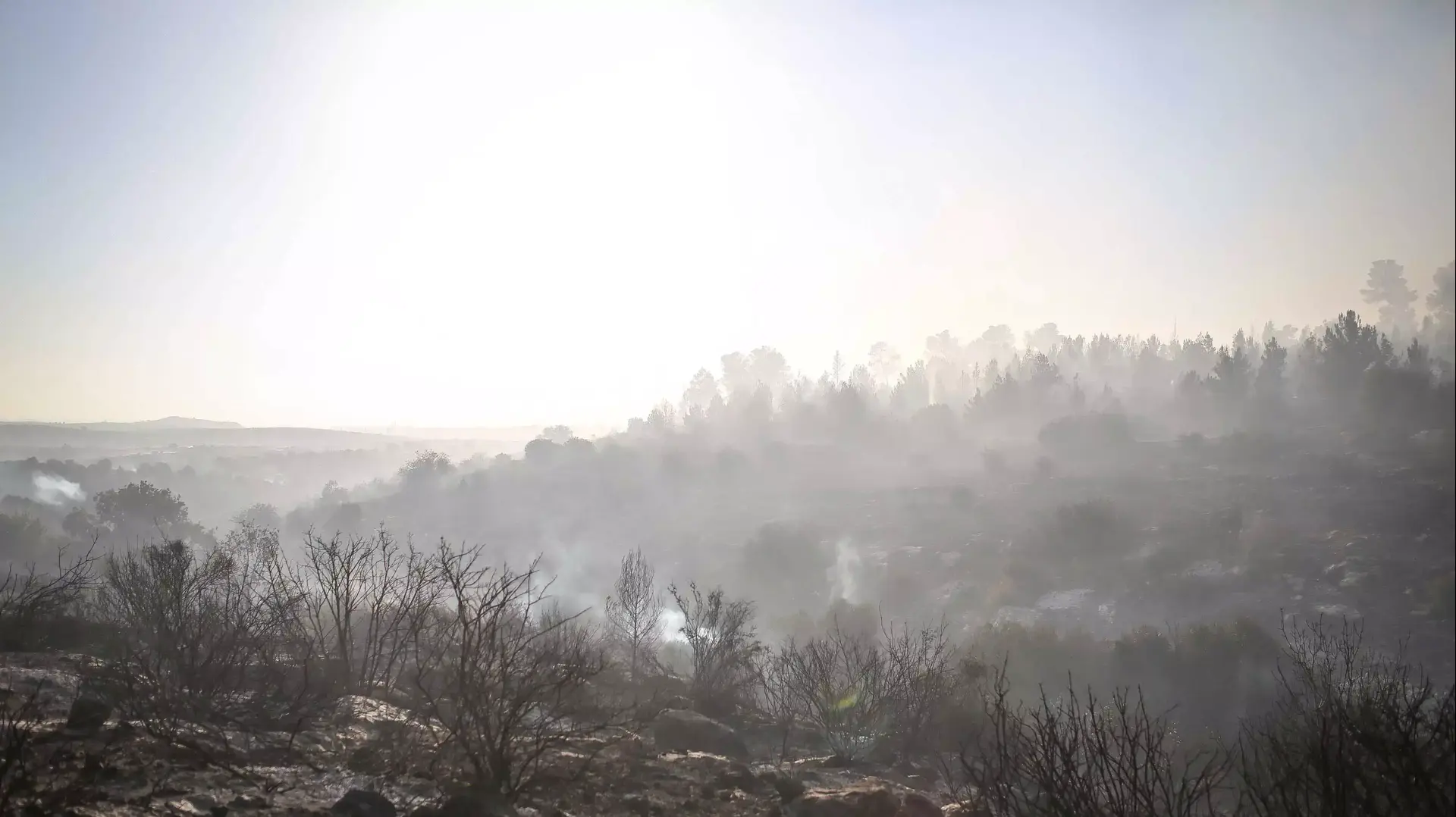 שריפה בפארק בריטניה ליד בית שמש. יולי 2013 שריפה בפארק בריטניה ליד בית שמש. יולי 2013