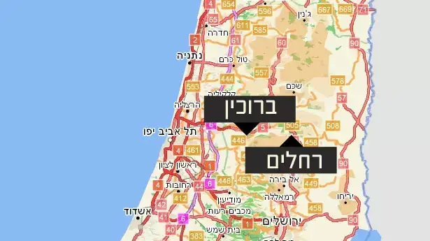 ברוכין, סנסנה, רחלים ברוכין, סנסנה, רחלים