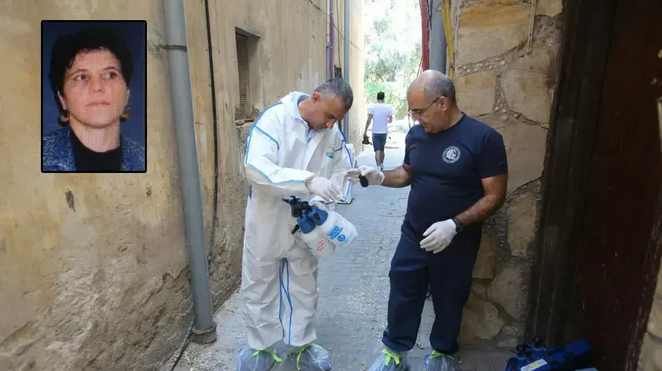 אילונה דניס אילונה דניס