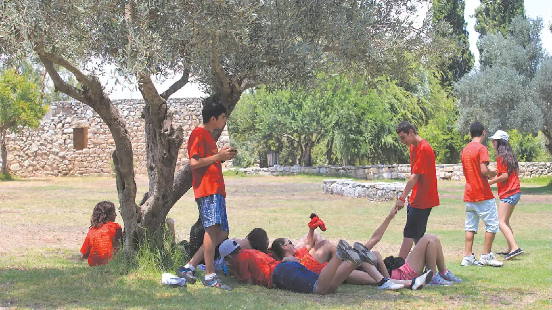 ארמנים ארמנים