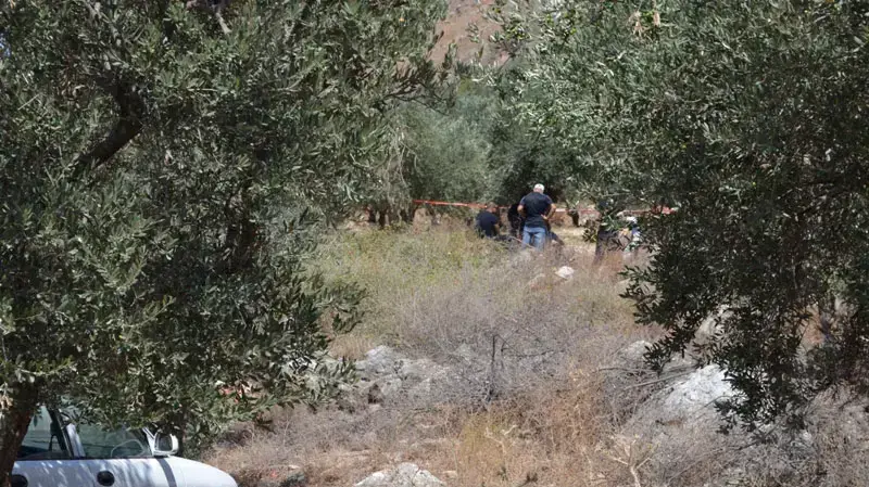 גופה נמצאה במטע זיתים ליד דיר אל-אסד, אוגוסט 2013 גופה נמצאה במטע זיתים ליד דיר אל-אסד, אוגוסט 2013