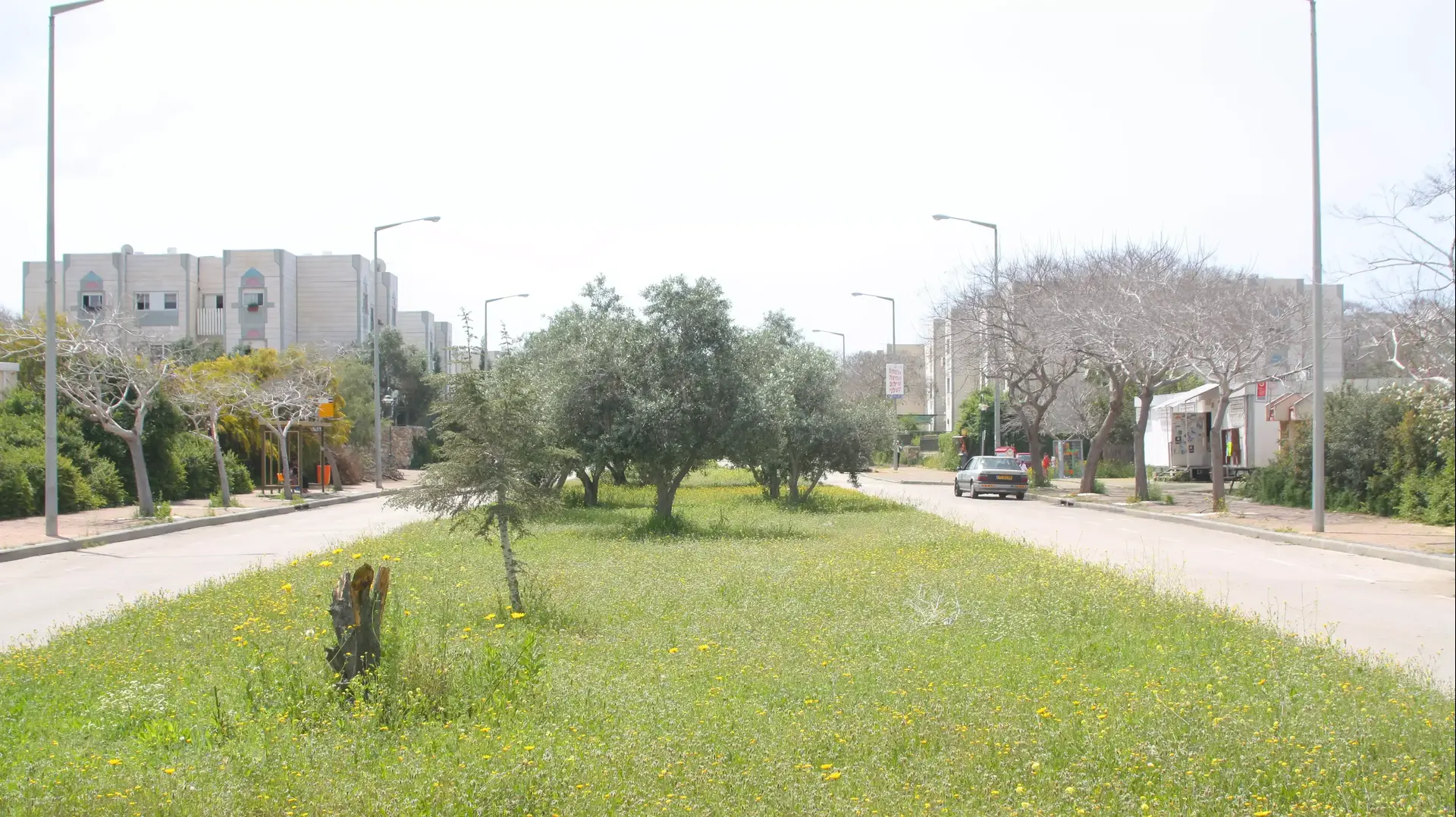 היישוב חריש, מועצת קציר-חריש