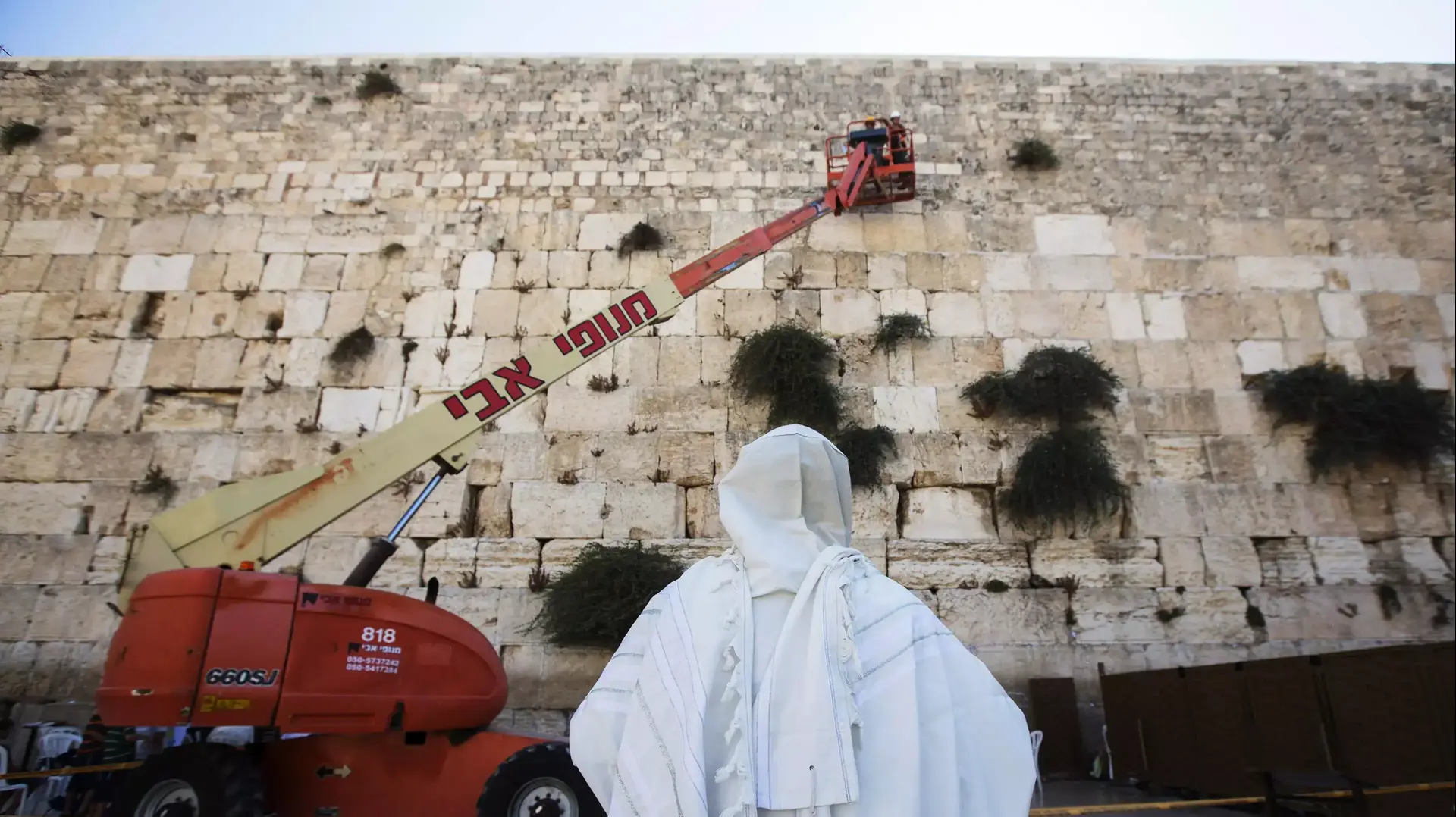 תמונות השבוע תמונות השבוע