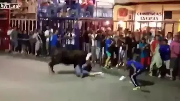 ספרד: פר זועם תקף תייר בריטי ופצע אותו קשה